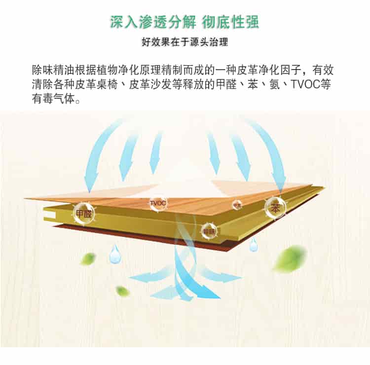 深入滲透分解 徹底性強，好效果在于源頭治理，除味精油根據(jù)植物凈化原理精制而成的一種皮革凈化因子，有效清除各種皮革桌椅丶皮革沙發(fā)等釋放的甲醛丶苯丶氨丶TVOC等 有毒氣體。